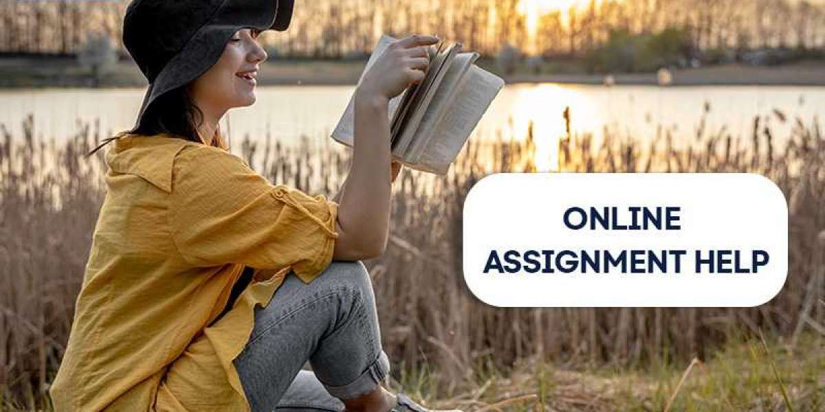 Feel some easiness in your routine with Assignment Help professionals